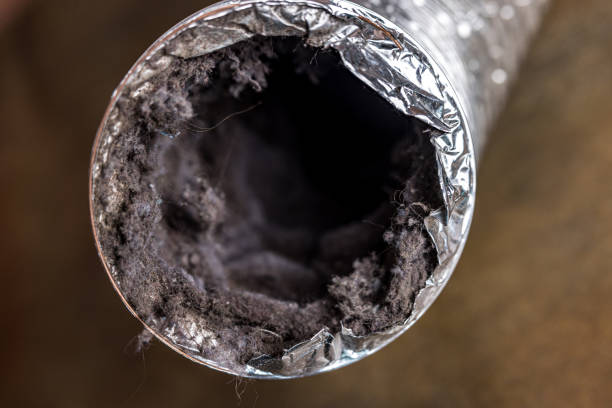 Best Affordable Air Duct Cleaning  in Cornish, ME